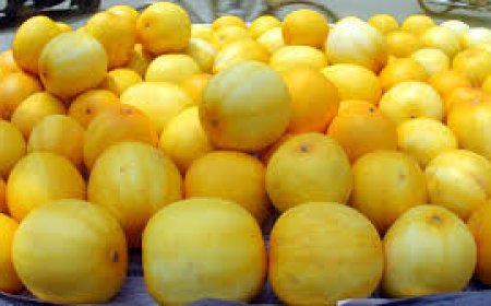 കണ്‍ നിറയെ 'കണി വെള്ളരി'; വിഷു വിപണിയിൽ  വിൽപ്പന തകൃതി