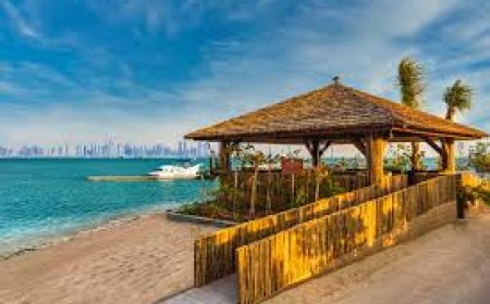 Anantara World Islands resort shut, Minor Hotels confirms