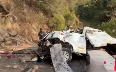 വാല്‍പാറയില്‍ ടെമ്പോ ട്രാവലര്‍ കൊക്കയിലേക്ക് മറിഞ്ഞ് 9 മലയാളികൾക്ക് ദാരുണാന്ത്യം