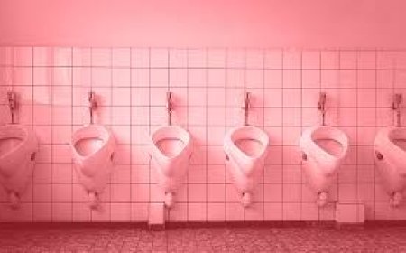 England faces health crisis as public toilet shortage leaves people suffering