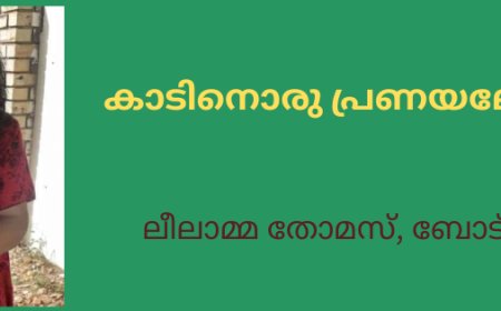 കാടിനൊരു പ്രണയലേഖനം