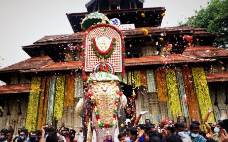 തൃശൂർ പൂരത്തിന് വിളംബരമായി