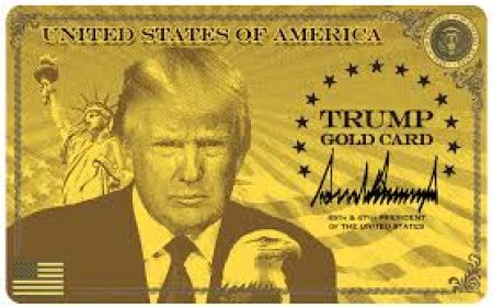 ട്രംപിന്റെ ഗോൾഡ് കാർഡ് വിസ ഇതുവരെ ലഭിച്ചത് ഒരാൾക്ക്; കാത്തിരിക്കുന്നത് നൂറുകണക്കിനാളുകൾ