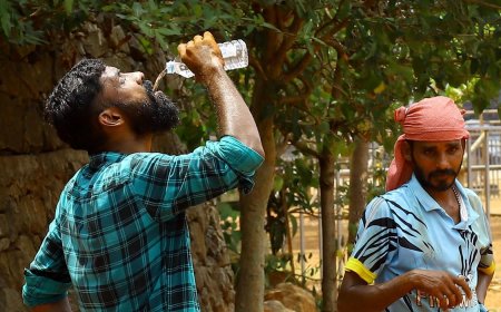 Kerala steps up heatwave response, CM chairs review meeting