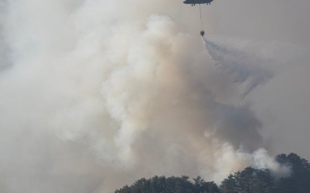 Thousands evacuate in Japan as forest fires close in on homes