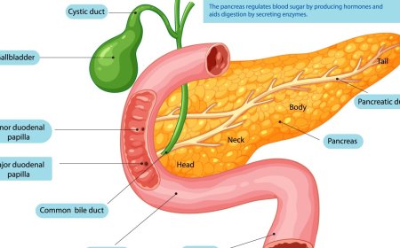 Type 2 diabetes: What it is, genetics and risk factors