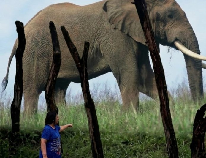 The Blitonist manifesto