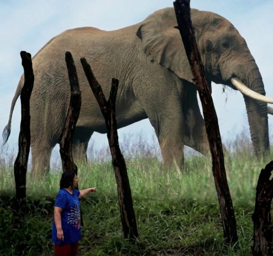 The Blitonist manifesto