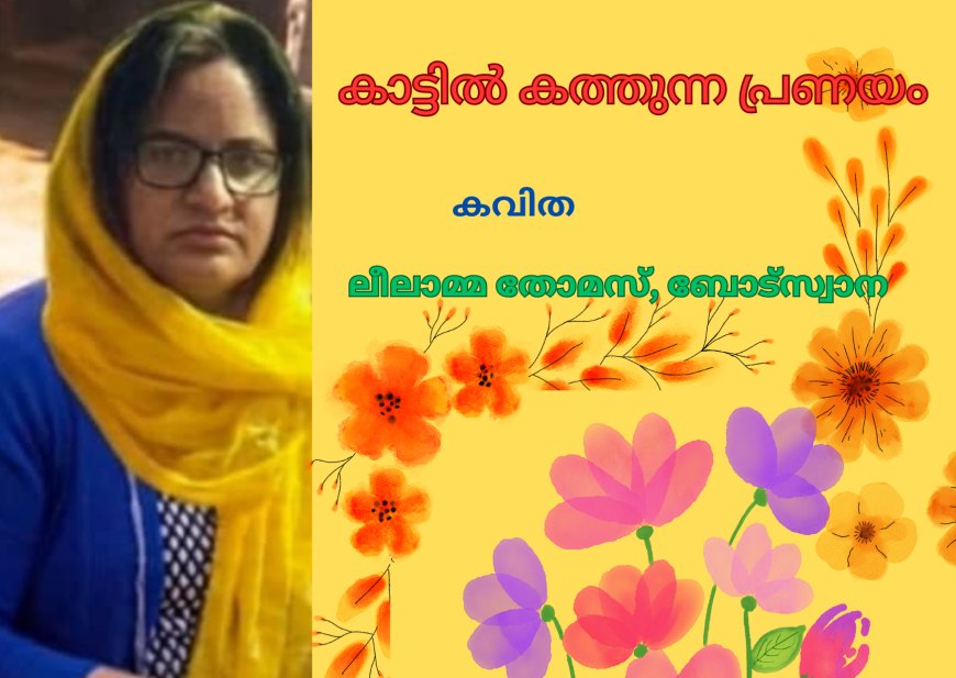 കാട്ടിൽ കത്തുന്ന പ്രണയം:  കവിത 