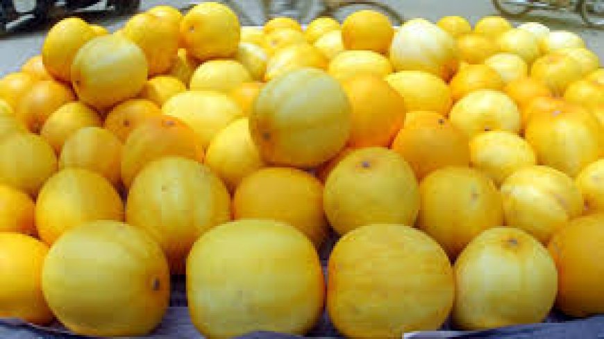 കണ്‍ നിറയെ 'കണി വെള്ളരി'; വിഷു വിപണിയിൽ  വിൽപ്പന തകൃതി