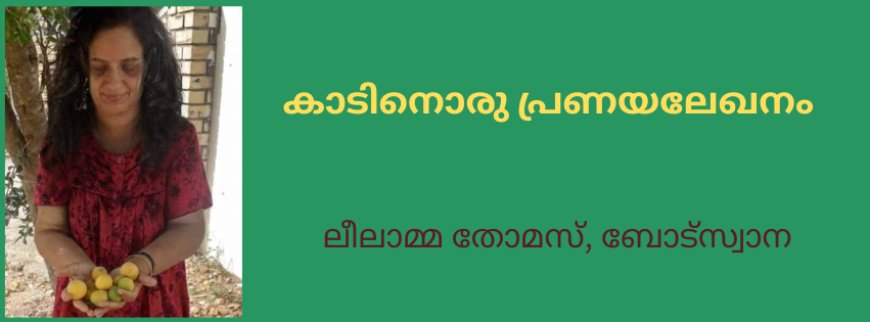 കാടിനൊരു പ്രണയലേഖനം