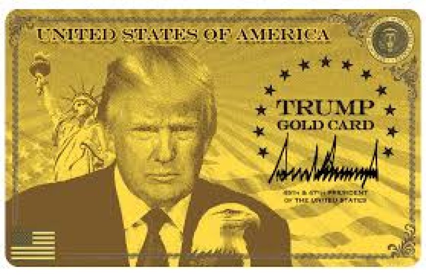 ട്രംപിന്റെ ഗോൾഡ് കാർഡ് വിസ ഇതുവരെ ലഭിച്ചത് ഒരാൾക്ക്; കാത്തിരിക്കുന്നത് നൂറുകണക്കിനാളുകൾ