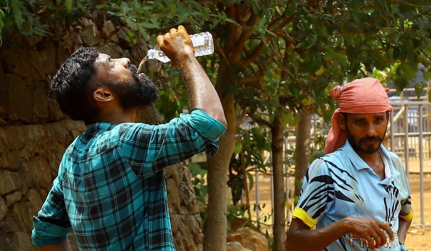 Kerala steps up heatwave response, CM chairs review meeting