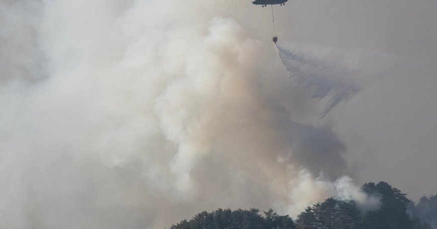 Thousands evacuate in Japan as forest fires close in on homes