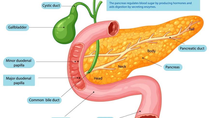 Type 2 diabetes: What it is, genetics and risk factors