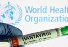 Hantavirus outbreak not another COVID pandemic, public health risk remains low: WHO