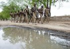 Senior IS leader killed in joint operation, US and Nigeria say