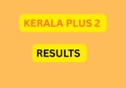പ്ലസ് ടു ഫലം പ്രസിദ്ധീകരിച്ചു: വിജയശതമാനം 77.97