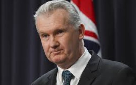 Tony Burke says migrants are the ‘solution, not the problem’, defends pre-election citizenship ceremonies