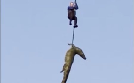 Police airlift crocodile from river on suspicion of eating missing businessman