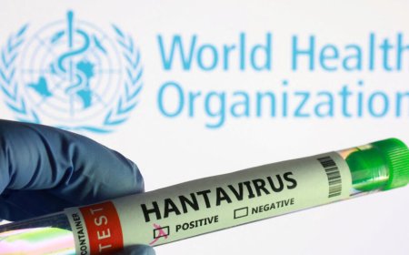 Hantavirus outbreak not another COVID pandemic, public health risk remains low: WHO