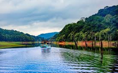 Thekkady - The dream destination