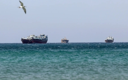 Dozens of vessels, including Chinese, allowed to sail Hormuz as Trump meets Xi