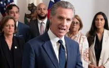 California Governor appoints Indian American to Structural Pest Control Board