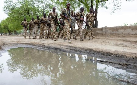 Senior IS leader killed in joint operation, US and Nigeria say