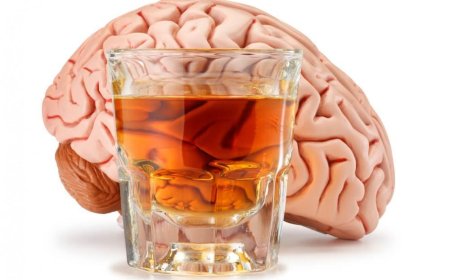 Neurologists reveal how alcohol consumption at night can harm your brain health