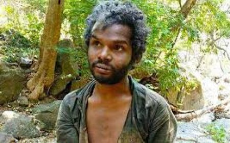 അട്ടപ്പാടി മധു വധ കേസ്: ശിക്ഷ വർധിപ്പിച്ച് ഹൈക്കോടതി, 12 പ്രതികൾക്ക് ജീവപര്യന്തം