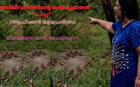 അതിജീവനത്തിന്റെ രാജകുമാരൻ 'പാറ്റ': ലീലാമ്മതോമസ്, ബോട്സ്വാന