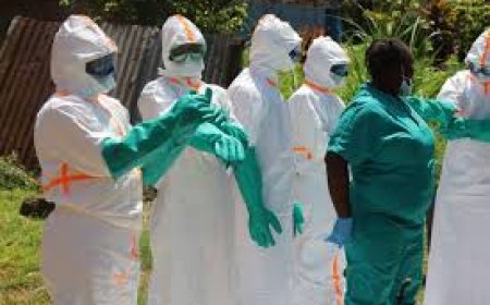 Ebola outbreak only beginning, may take months to contain: DRC health minister