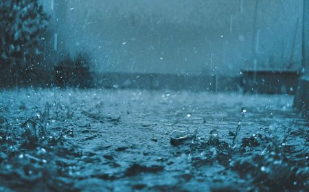 With monsoon round the corner in Kerala, IMD predicts heavy rain and winds