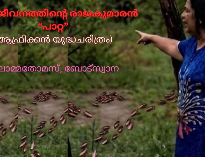 അതിജീവനത്തിന്റെ രാജകുമാരൻ 'പാറ്റ': ലീലാമ്മതോമസ്, ബോട്സ്വാന