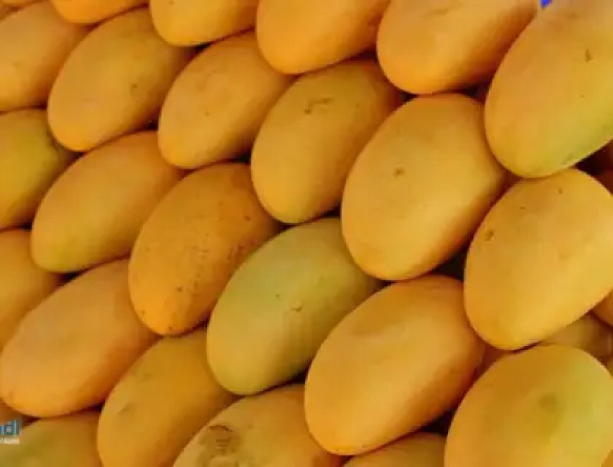 Annual Mango Mela to begin in Bengaluru on May 7