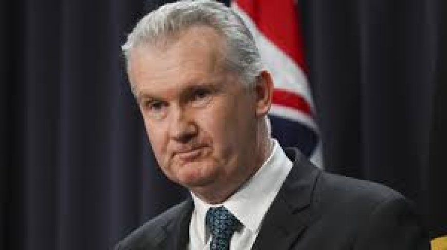 Tony Burke says migrants are the ‘solution, not the problem’, defends pre-election citizenship ceremonies