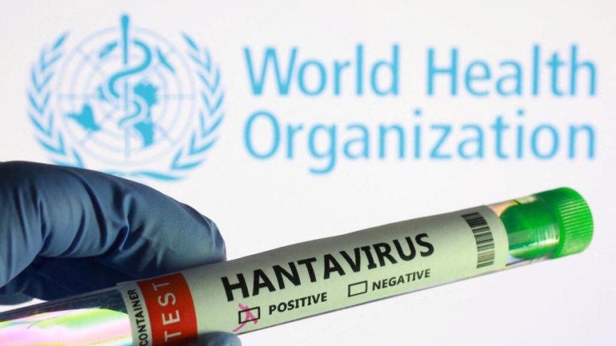 Hantavirus outbreak not another COVID pandemic, public health risk remains low: WHO