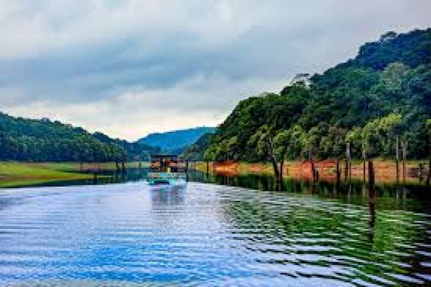 Thekkady - The dream destination