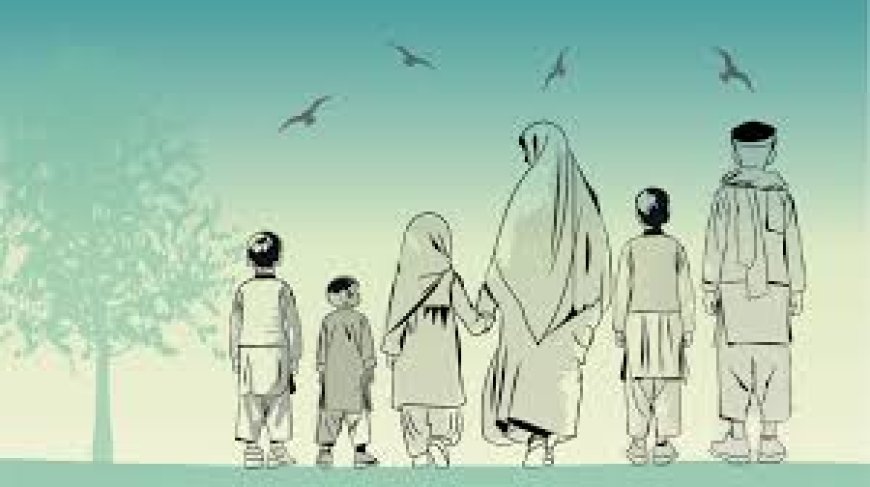 An unfinished Master’s: The story of a young Afghan woman’s shattered dreams