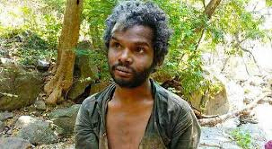 അട്ടപ്പാടി മധു വധ കേസ്: ശിക്ഷ വർധിപ്പിച്ച് ഹൈക്കോടതി, 12 പ്രതികൾക്ക് ജീവപര്യന്തം