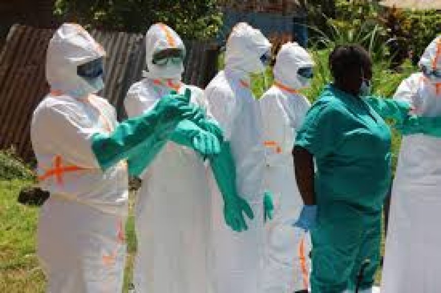 Ebola outbreak only beginning, may take months to contain: DRC health minister