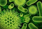 Health Dept issues stark warning amid rising infectious diseases in Kerala