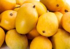 Indian mangoes spark summer rush across US