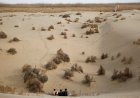 China warns of risk of 'extreme floods' in desert regions