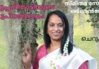 അപ്പൂപ്പൻതാടിയുടെ സ്വപ്‌നജാലകം:  ചെറുകഥ 