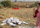 പണം. കവിത