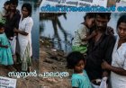 നിലവറമൈനകൾ തേങ്ങി:  സൂസൻ പാലാത്ര