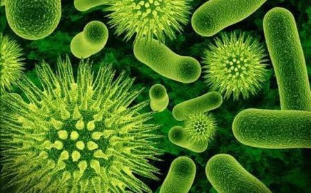 Health Dept issues stark warning amid rising infectious diseases in Kerala