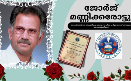 അമേരിക്കയിലെ ആധുനിക മലയാള സാഹിത്യ ചരിത്രകാരന്  ലാനയുടെ ആദരാഞ്ജലികൾ!!